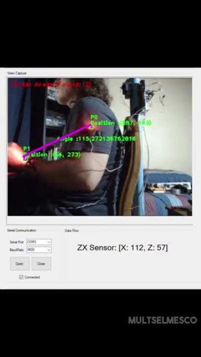 I make robots and other programming stuff so I built this robot to help me fix my posture.