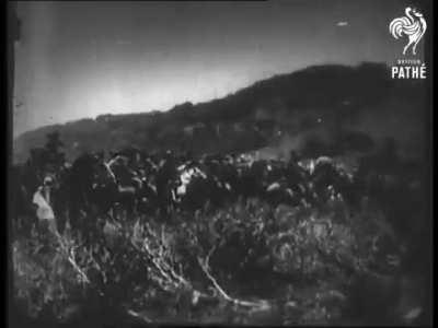 Boer War footage, 1900