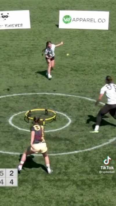 Spikeball