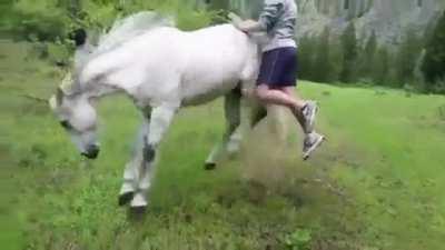 What could go wrong jumping onto a horse