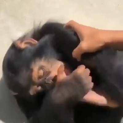 monke gets tickled