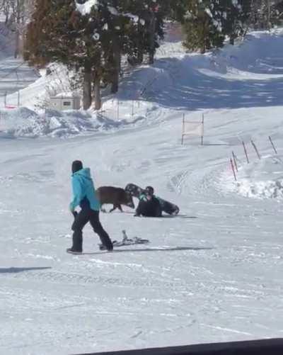 to snowboard