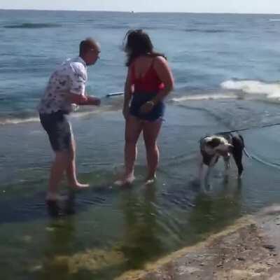 WCGW if you choose to propose on a slippery rock (and what could go right!)