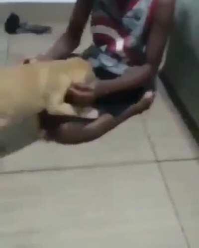 This boy’s reaction to getting a puppy