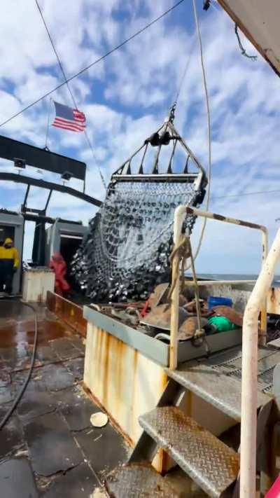 My friend getting hit with 5k lbs of gear scalloping 