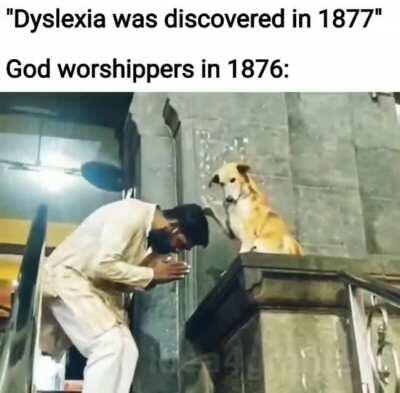 Doggo deserves to be a god tho