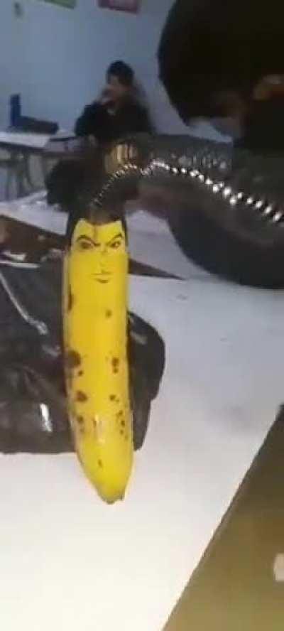 Abarata josuke