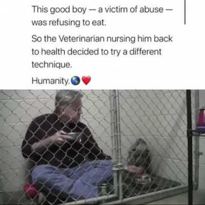 Abused dog refuses to eat, so the vet eats with him.