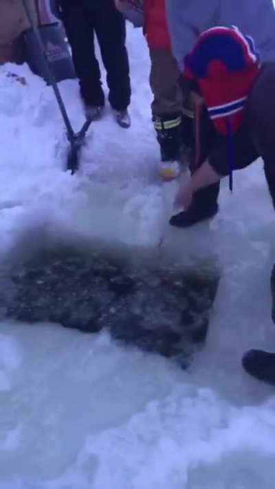 Guy loses his phone in a frozen lake so his friends help him retrieve it