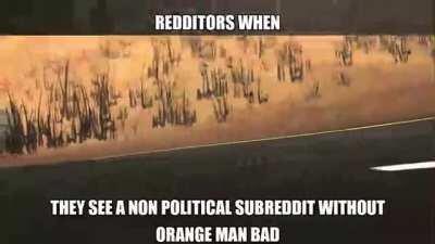 ORANG MAN BAD AMIRTE NON POLITICAL SUBREDDIT??