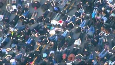 Demonstrators in Portland, OR shut down bridge, all face down