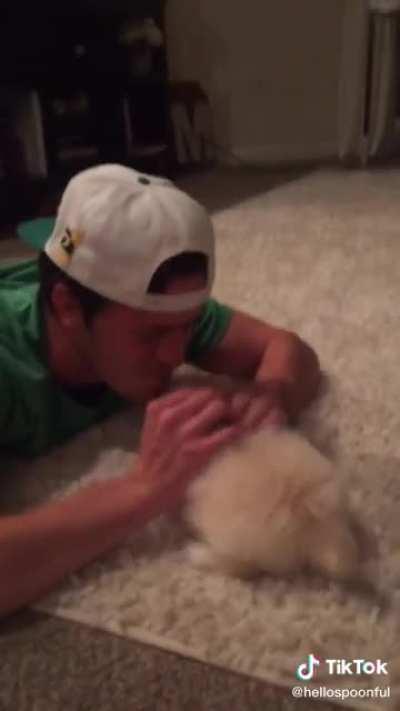 wife surprises husband with puppy