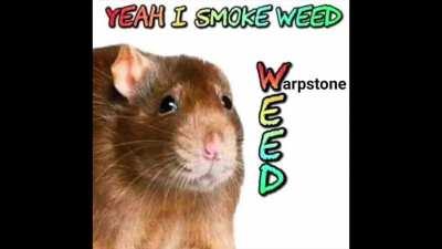 Warpstone yes-yes