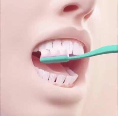 Don’t forget to teeth your brush