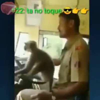 MaCacO