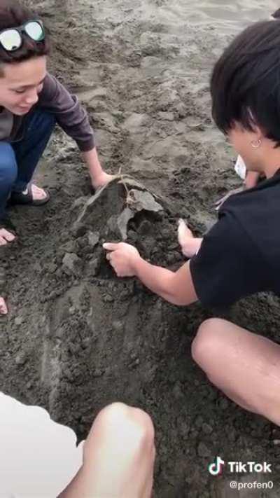 Just a bunch of guys playing a game in sand.