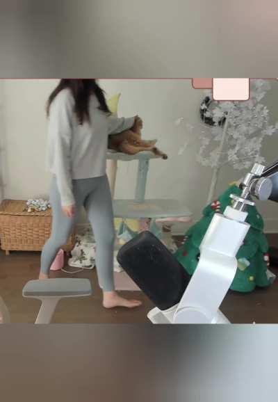 xChocoBars/Janet gray leggings - November 2023