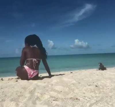 @Zaboo_007 video #295921