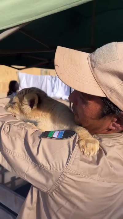 poOR MAN eaten ALiVE By RAvENouS liOn