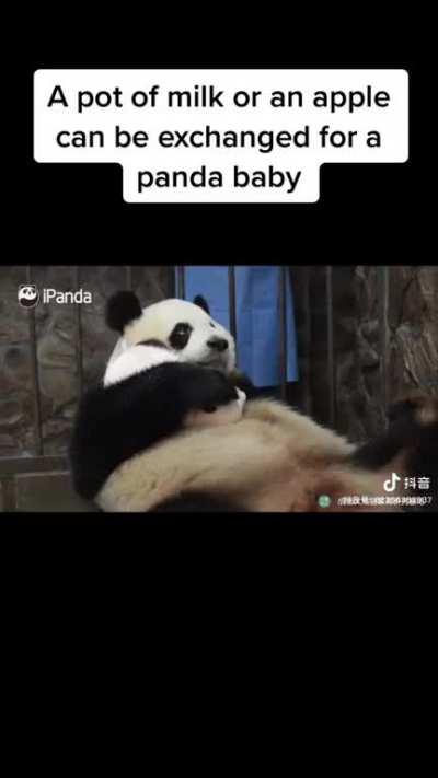 A lot of milk or an apple can be exchanged for a Panda baby