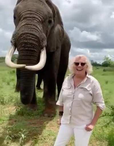 This elephant pranks a lady.