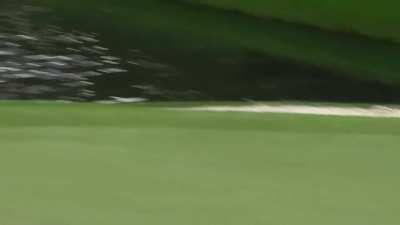 Jon Rahm skips in a hole-in-one