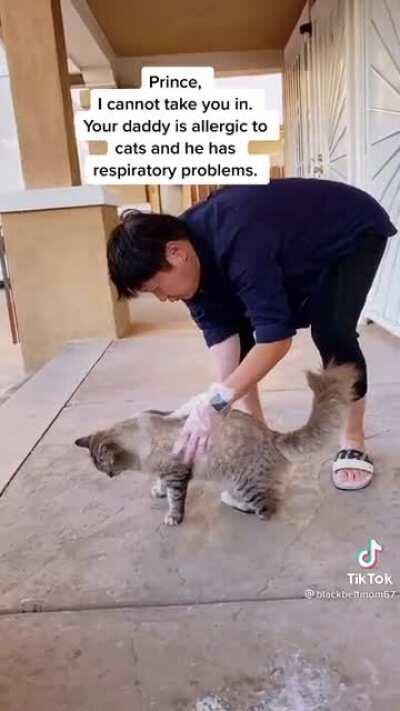 Poor kitty