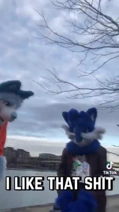 Furries will always be cringe