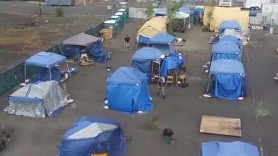 Man discovers tent city housing protestors/rioters (including Trumpet man) in Portland, inhabitants starts sling-shooting rocks towards the recorder (as he heckles them from afar).