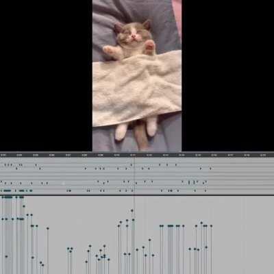 A year ago, I added drums to this sleeping cat. Here is what the kitty midi looked like.