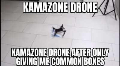 DAMN YOU KAMAZONE DRONE