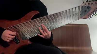 Someone playing a 14 string guitar, and pretty well at that!