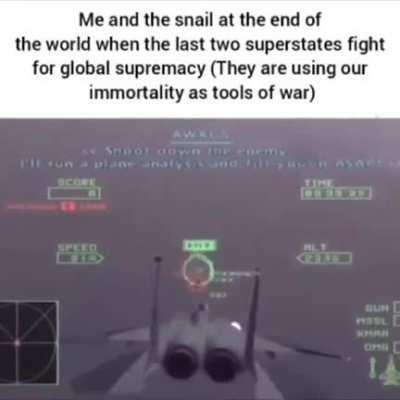 Ace combat snail RULE