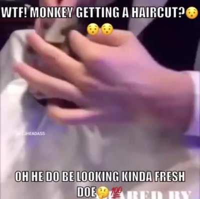 Monkey do be lucky doe