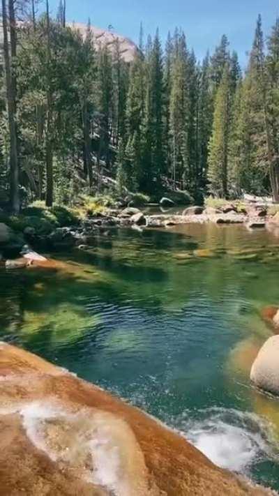 🔥 Yosemite National Park, USA.