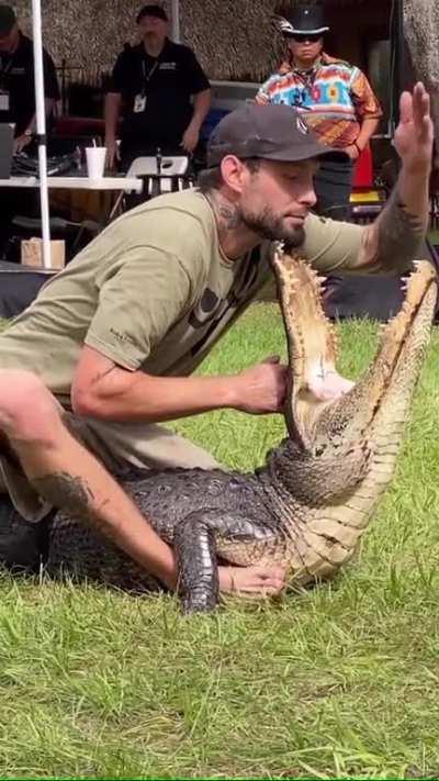 Man getting hand out of crocodile mouth in 0.1 seconds