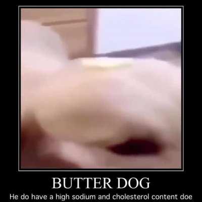 Butter dog??? 😳😳😳 will he become big chungus after eating all that butter??? Butter dog is allah 🙏🏻🙏🏻🙏🏻