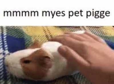 yesss piggies mhmhm yeah