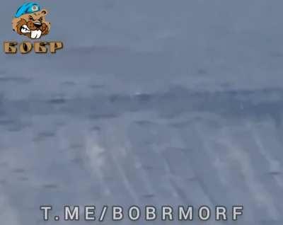 BOBR drone strikes a Ukrainian MT-LB which causes it to leave the road and drive over a mine, near Robotyne, posted 20.02.2024