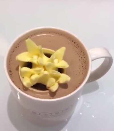 Marshmallow in hot chocolate