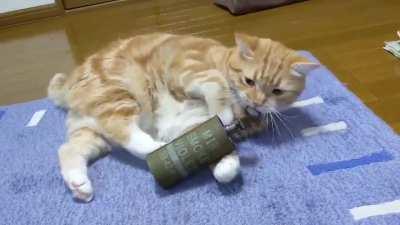 cat pulls grenade pin