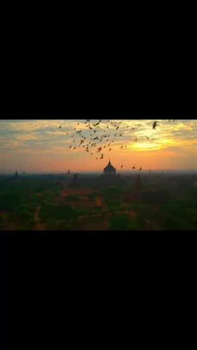 A flock of birds making this drone shot look like a Disney movie.