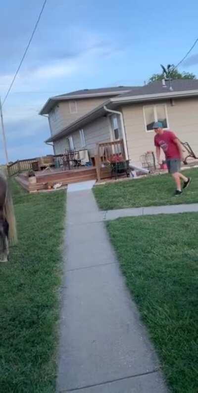 HMB while I try to jump on a Horse from behind