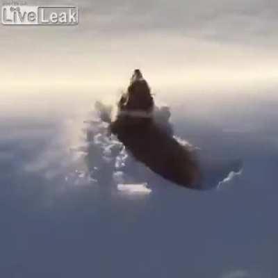 Throwing a dog out of a helicopter.