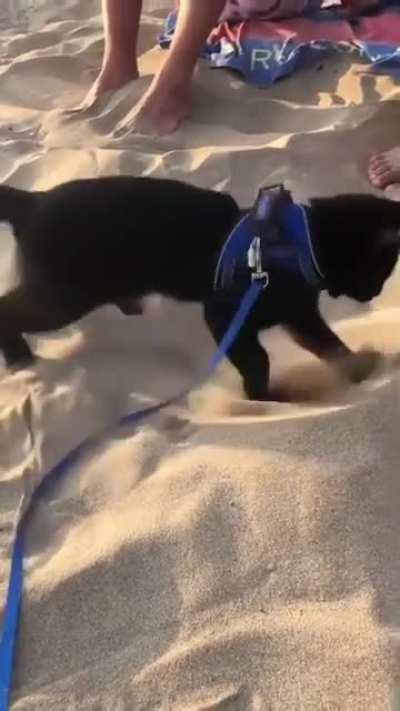 Beach sand experience