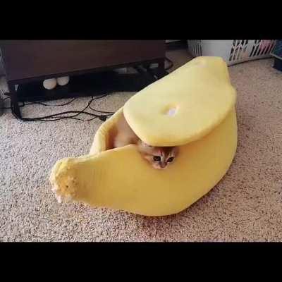 Banana surprise