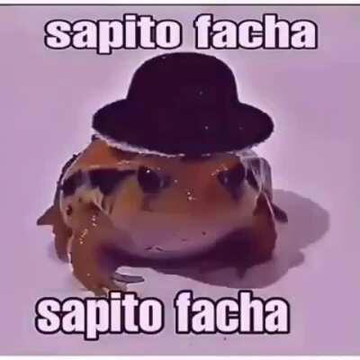 Sapito facha