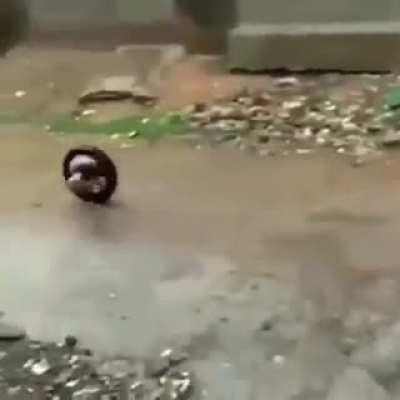 The way this kid uses the tire.