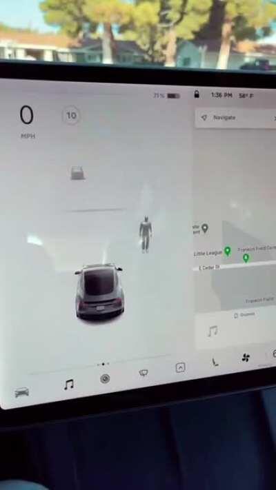 Tesla collision avoidance detecting invisible man at cemetery