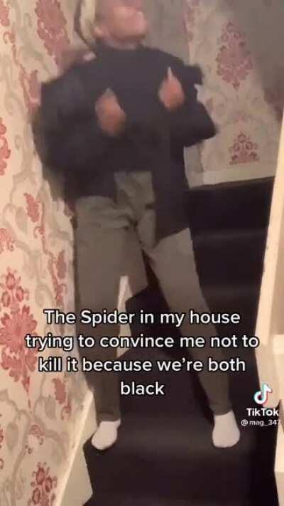 Please just leave spiders alone 🥺